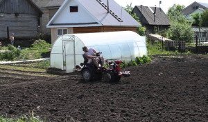 Боронування ґрунту як спосіб збільшення врожайності + Відео