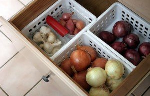 Як зберігати зимовий часник – способи для квартири і будинки + Відео