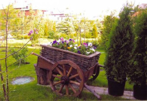 Ландшафтний дизайн сільського будинку – простота, природність + Відео