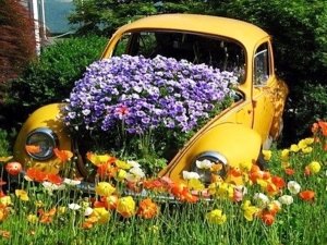 Економний і креативний підхід до створення клумб з підручних матеріалів?