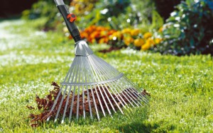 Догляд за газоном всі сезони – зелений килим цілий рік! + відео