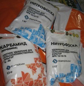 Добрива для городу навесні – допомагаємо рослинам набрати чинності + Відео