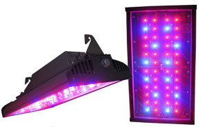 Освітлення теплиць взимку – який освітлювальний прилад вибрати? + відео