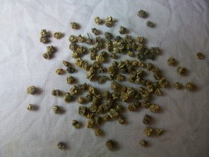 Посадка буряків навесні – секрети великого врожаю + Відео