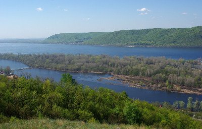Переваги і недоліки яблук сорту Волжанка