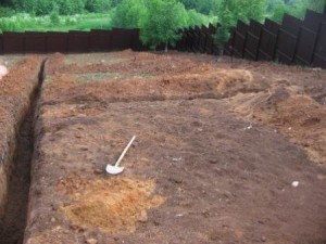 Посадка газону на дачі – все особливості посіву + Відео