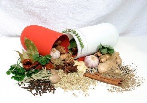 Лікарські рослини на дачі: у чому їхня користь? + відео