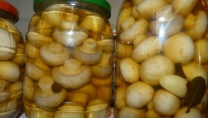Консервація грибів маслюків, печериць – як зробити в домашніх умовах + Відео