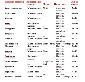 Насіння однорічних квітів – способи знезараження і посадки + Відео