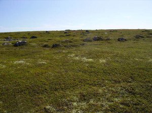 Типи грунтів і їх характеристики – найважливіша інформація + відео