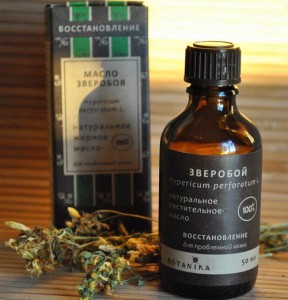 Звіробій – лікувальні властивості і протипоказання, рецепти + відео