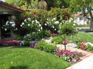 Клумби і квітники своїми руками – розкриваємо секрети! | Насотке.ру