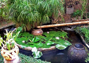 Палісадник – ми навчимо, як зробити найкращий! + Відео