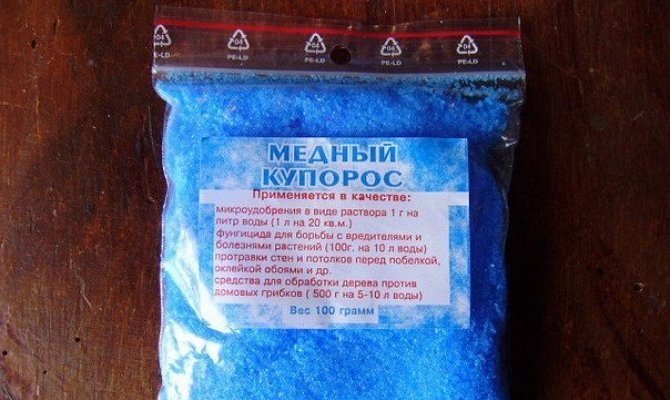 Хвороби піонів та їх лікування – заходи проти плямистості, іржі і шкідників + Відео
