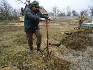 Способи і методи посадки картоплі – вибираємо разом + відео