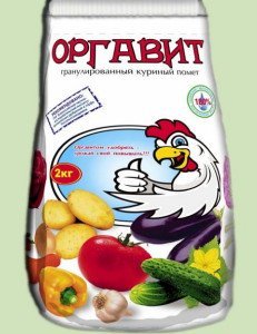 Підгодівля курячим послідом і приготування коровяку + Відео