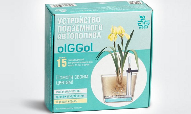 Автоматичний полив кімнатних рослин – забезпечуємо квіти водою в домашніх умовах + Відео