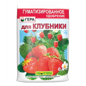 Добриво для полуниці навесні – чим і як обробляти кущі? + відео