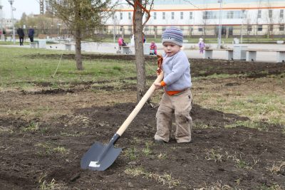 Яблука сорту Південний: головна інформація для садівників