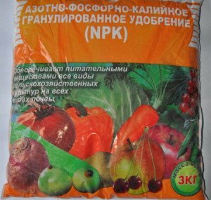Азотно фосфорно калійне добриво – застосування, пропорції, строки + Відео