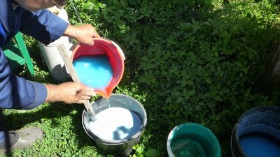 Яблуня Квітневе: щорічний урожай плодів довгого зберігання