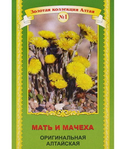 Мати і мачуха – лікувальні властивості трави та протипоказання + відео