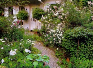 Палісадник – ми навчимо, як зробити найкращий! + Відео