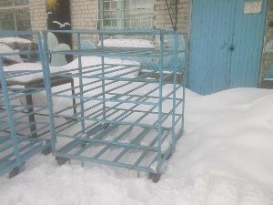 Забій курей в промислових масштабах: опис всіх етапів