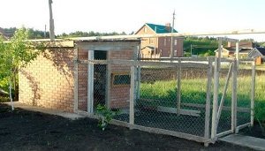 Як правильно побудувати теплий домашній курник своїми руками?