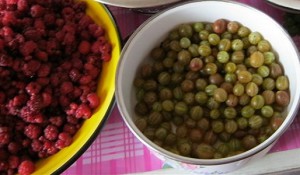 Желе з агрусу на зиму – найсмачніші рецепти + Відео
