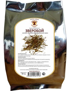 Звіробій – лікувальні властивості і протипоказання, рецепти + відео