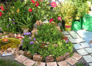 Клумби і квітники своїми руками – розкриваємо секрети! | Насотке.ру