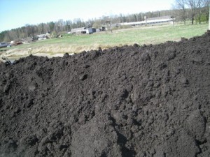 Чорнозем Росії: у чому його переваги для зростання рослин + відео