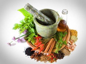 Лікарські рослини на дачі: у чому їхня користь? + відео