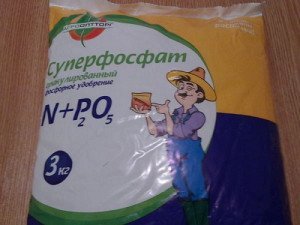 Добриво для троянд навесні – способи підживлення мікроелементами + Відео