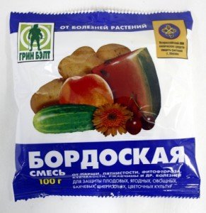 Як часто поливати кабачки – секрети правильного поливу + Відео
