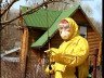 Обприскування винограду від хвороб – ефективні препарати + Відео