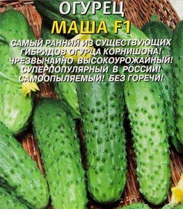 Насіння огірків найкращі – правильні поради + Відео