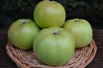 Прекрасні смакові якості яблук сорту Куйбишевське