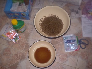 Насіння помідорів для теплиць – які бувають, як їх висаджувати? + відео