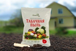 Капустяна білянка – методи ефективної боротьби з паразитом + відео