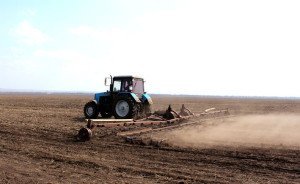 Боронування ґрунту як спосіб збільшення врожайності + Відео