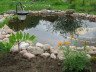 Ставок на ділянці своїми руками – облаштовуємо правильний водойма + Відео