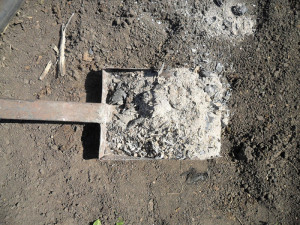 Зола як добриво – як використовувати і в чому плюси? + відео