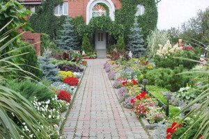 Палісадник перед будинком – які способи оформлення існують? + відео