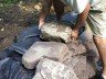 Як зробити фонтан на дачі своїми руками – прості поради + Відео