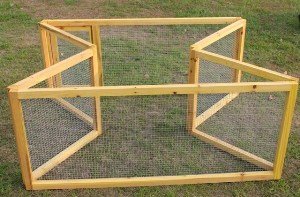 Як побудувати вольєр для курей своїми руками?