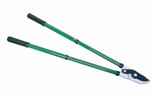 Гілкоріз – як вибрати інструмент, спираючись на характеристики? + відео Гілкоріз – як вибрати інструмент, спираючись на характеристики? + відео