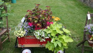 Клумби в саду своїми руками з підручних матеріалів! + відео Клумби в саду своїми руками з підручних матеріалів! + відео