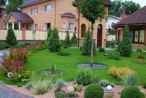 Як посадити газон своїми руками – вибір насіння і їх висадка + відео